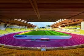 张伯霖谈摇篮舞庆祝：是庆祝我家两只小狗出生